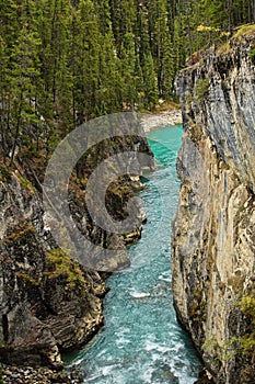 Bow River Banff National Park Canada