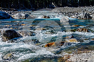 Bow river in rapid flow