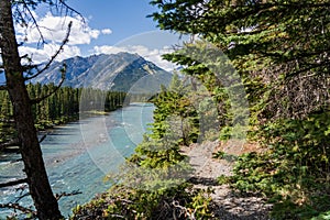 Bow River trail in summer sunny day, Mount Norquay in the background. Banff National Park, Canadian Rockies