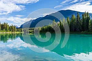 Bow River Trail in summer time. Sulphur Mountain Range in the background. Beautiful nature scenery in Banff National Park.