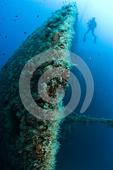 Bow of ship wreck with divers