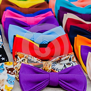 Bow tie - fashion gourmet. Attribute hipsters