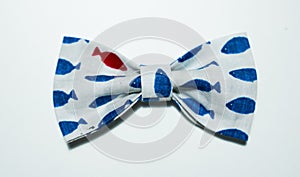 The bow tie, a gift for him