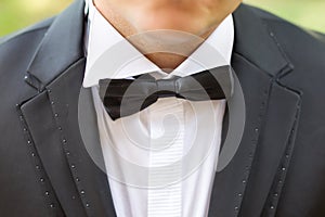 Bow tie photo