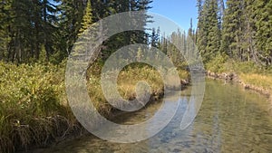Bow valley banff river photo