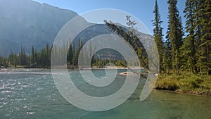 Bow valley banff river photo
