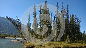 Bow valley banff river