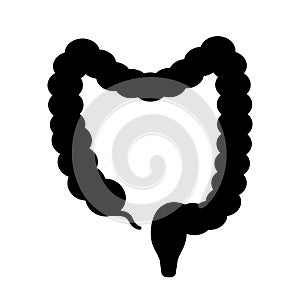 Bowels intestine vector icon