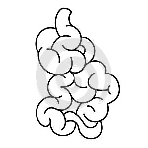 Bowels intestine vector icon