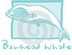 Bowhead Whale photo