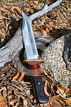 Bowie Knife photo