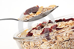 A bowl of American breakfast cereal and dry fruit