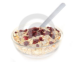 A bowl of American breakfast cereal and dry fruit