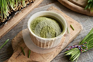 A bowl of barley grass powder with fresh blades in the background