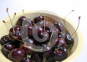 Bowl of black cherries