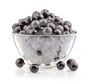 Bowl with black currant isolated