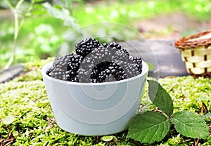 Bowl with blackberry fruits