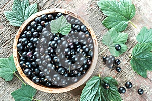 Bowl of blackcurrant photo