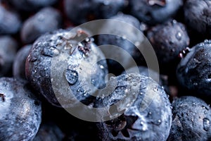 Bowl of Blueberries