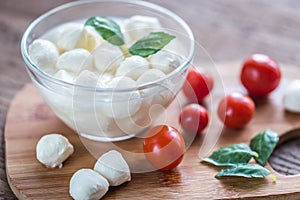 Bowl of Bocconcini mozzarella with fresh cherry tomatoes