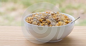 Bowl of Breakfast Cereal by Window.