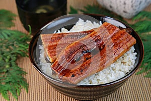 Bowl of broiled eel