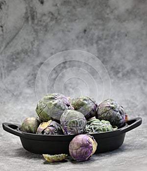 A Bowl of Brussels Sprouts on grey background