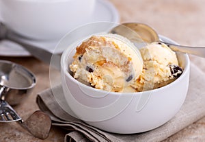 Bowl of Caramel Vanilla Ice Cream