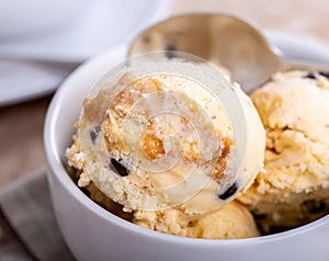 Bowl of Caramel Vanilla Ice Cream