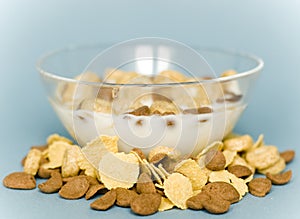 Bowl with cereals