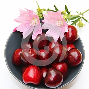 Bowl of cherries and pink flowers, isolated on white.