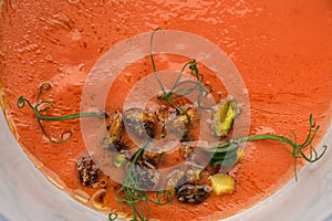 Bowl of cold tomato gazpacho soup with pistachios. Summer refreshing food concept.