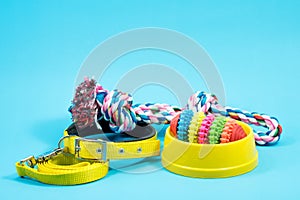 Bowl, collar with toy rope and bite rope for blue background.