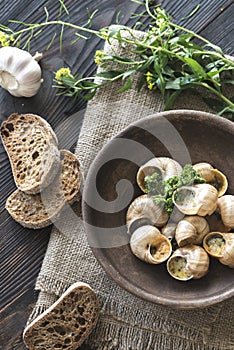 Bowl of cooked snails