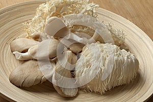 Bowl with coral fungus, Lion's Mane Mushroom and oyster mushroom