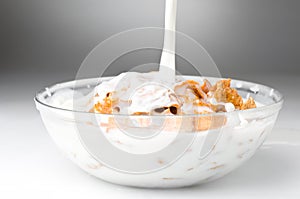 Bowl with corn flakes and milk