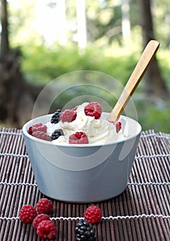 Bowl with cream and berries