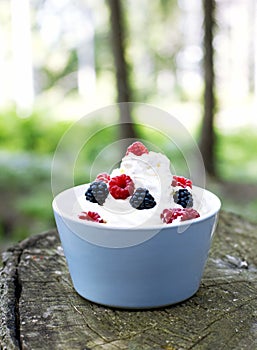 Bowl with cream and berries on old wood