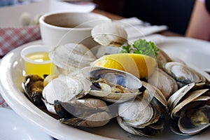 Bowl of Delicious Fresh Steamer Clams with Lemon and Broth photo