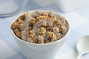 Bowl with dried mulberries