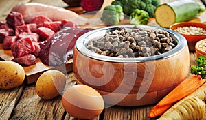 Bowl of dried pet kibble with fresh ingredients