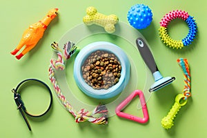 Bowl of dry food for cat or dog and pet accessories on green background, view from above. Pet care and training concept