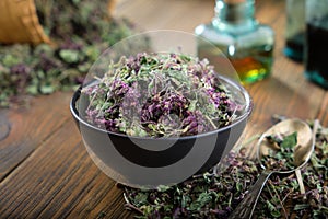 Bowl of dry Origanum vulgare or wild marjoram flowers. Bottle of essential oil