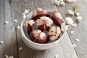 Brown Easter eggs dyed with onion skins with a pattern of fresh herbs