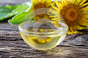 A bowl of elecampane essential oil with fresh plant