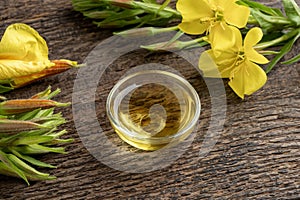 A bowl of evening primrose oil with blooming evening primrose