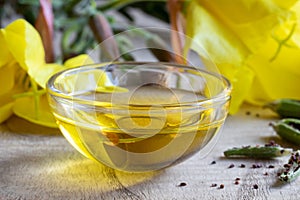 A bowl of evening primrose oil with blooming evening primrose pl