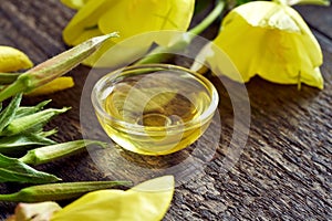 A bowl of evening primrose oil with evening primrose plant