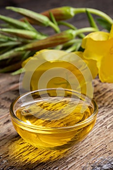 A bowl of evening primrose oil with fresh blooming evening primrose