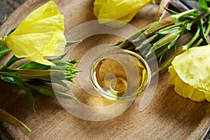 A bowl of evening primrose oil with fresh blooming evening primrose